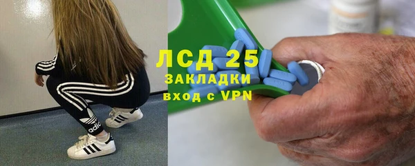 мяу мяу кристалл Богданович