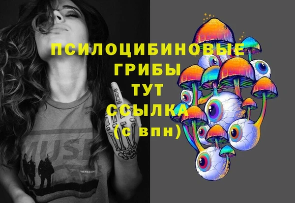PSILOCYBIN Богородицк