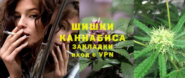 PSILOCYBIN Богородицк