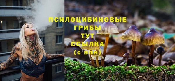 дживик Богородск