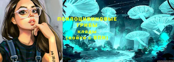 мяу мяу кристалл Богданович