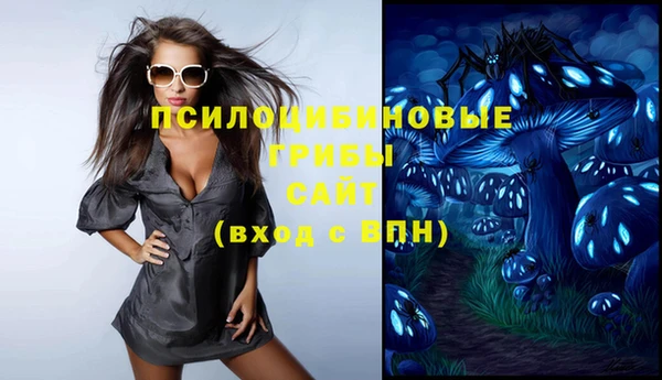 дживик Богородск